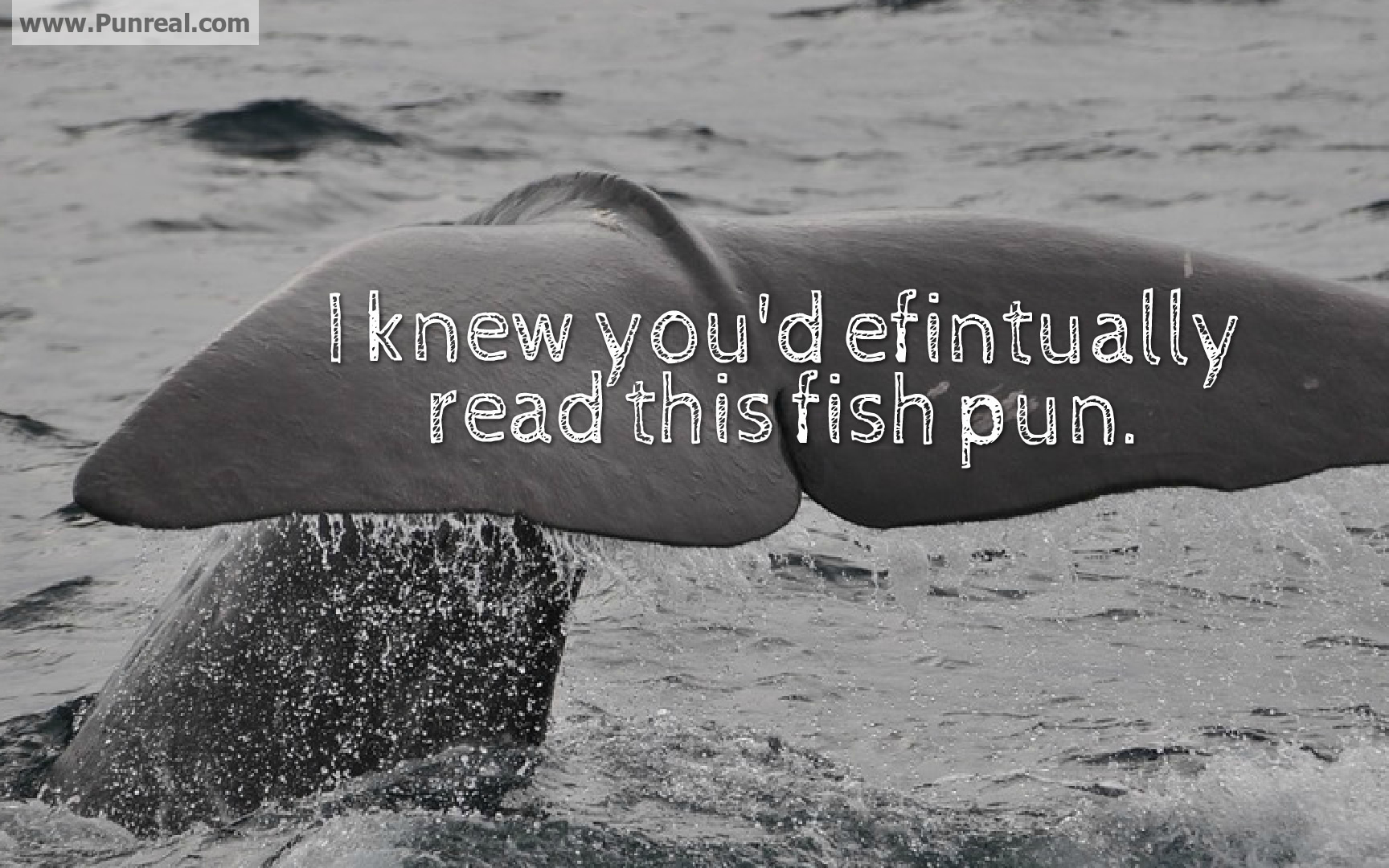 I knew you'd efintually read this fish pun.